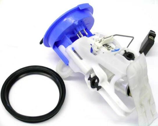 BMW Fuel Pump Assembly 16142229684